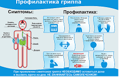 Профилактика гриппа и ОРВИ.
